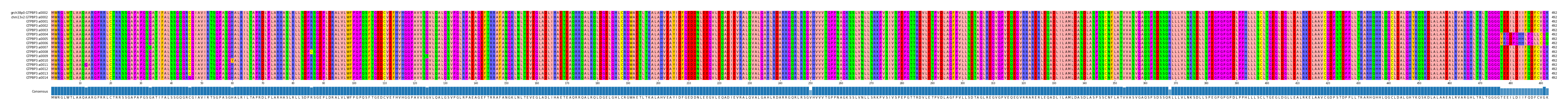 Multiple Alignments (by translate haplotype frequency)