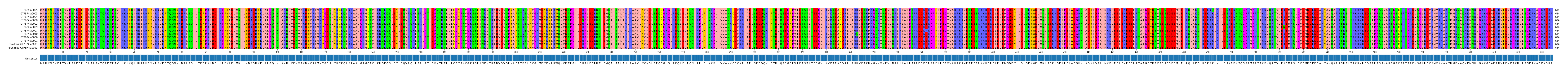 Multiple Alignments (by translate haplotype similarity)