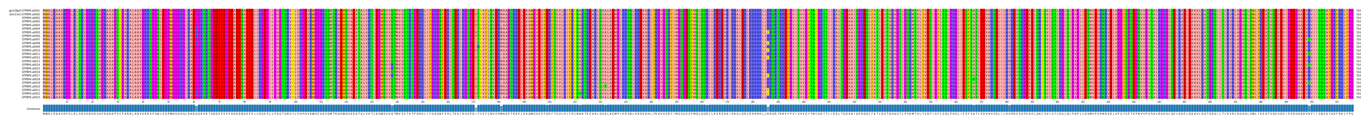 Multiple Alignments (by translate haplotype frequency)