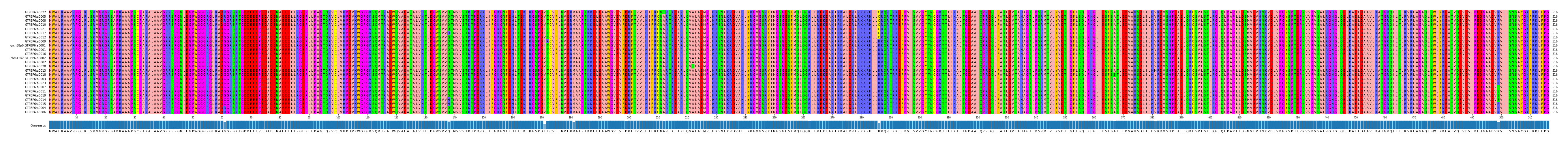 Multiple Alignments (by translate haplotype similarity)