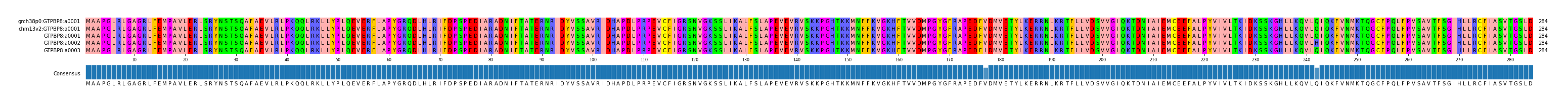 Multiple Alignments (by translate haplotype frequency)