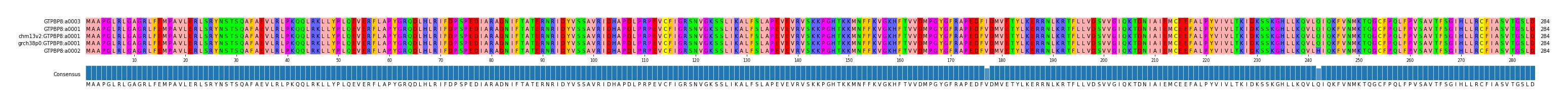 Multiple Alignments (by translate haplotype similarity)