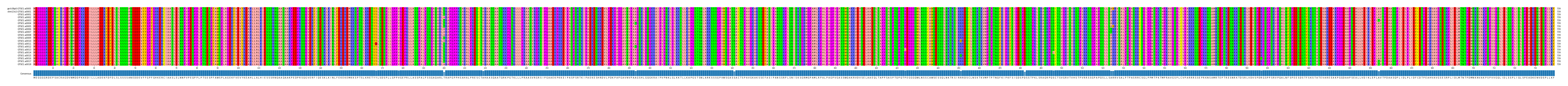 Multiple Alignments (by translate haplotype frequency)