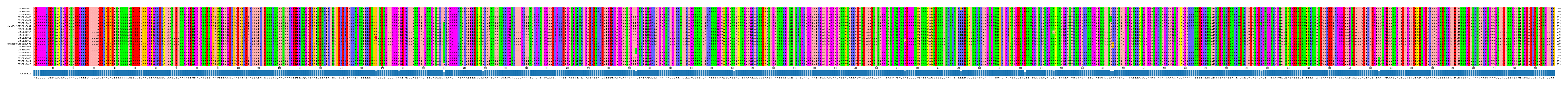 Multiple Alignments (by translate haplotype similarity)