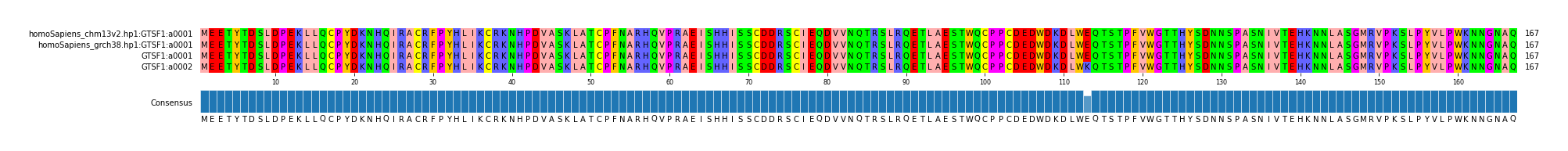 Multiple Alignments (by translate haplotype frequency)