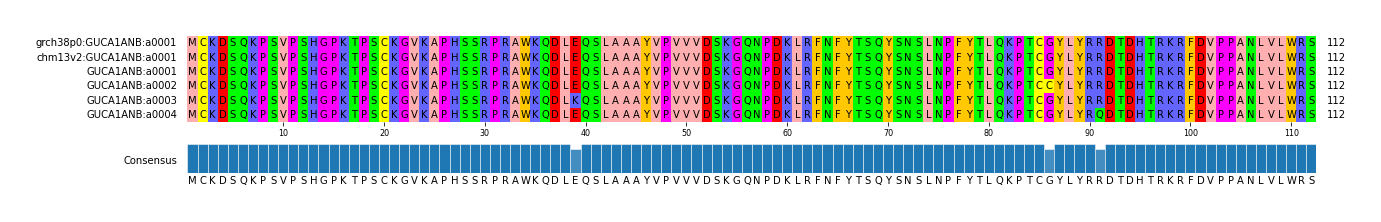 Multiple Alignments (by translate haplotype frequency)