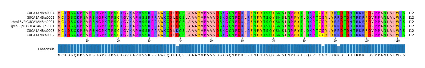 Multiple Alignments (by translate haplotype similarity)