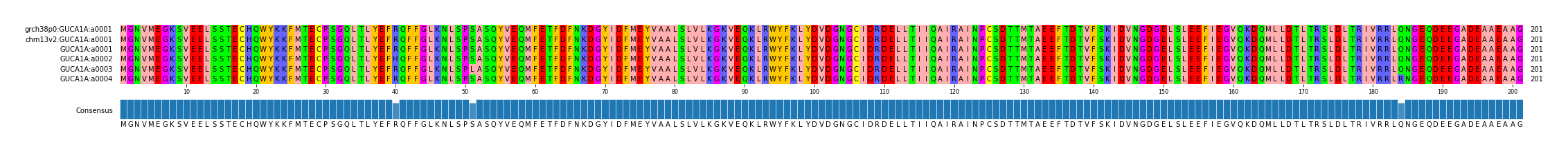 Multiple Alignments (by translate haplotype frequency)