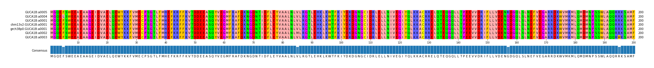 Multiple Alignments (by translate haplotype similarity)
