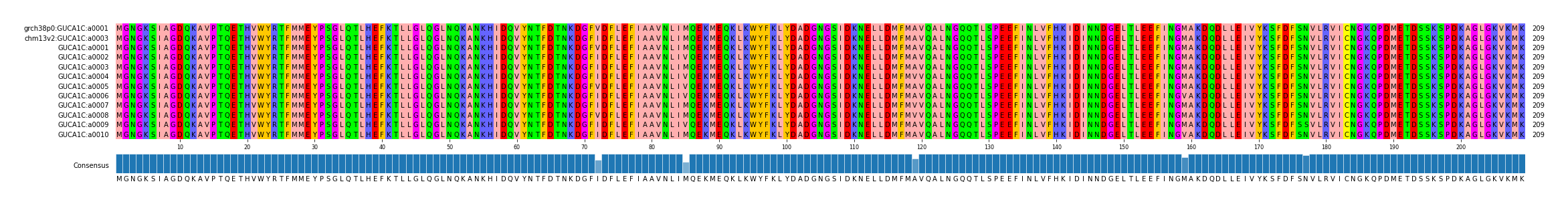 Multiple Alignments (by translate haplotype frequency)
