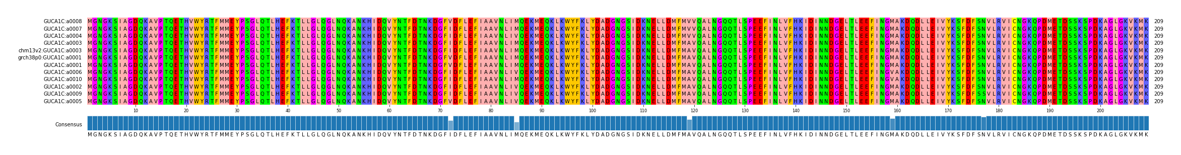 Multiple Alignments (by translate haplotype similarity)