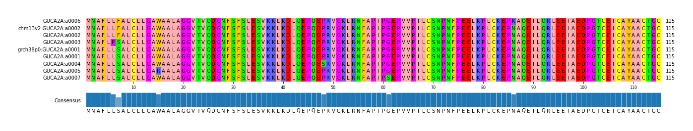 Multiple Alignments (by translate haplotype similarity)