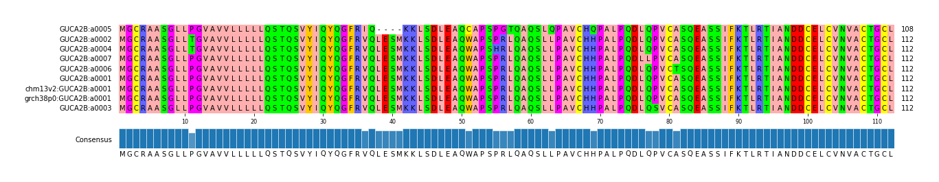Multiple Alignments (by translate haplotype similarity)
