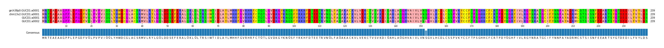 Multiple Alignments (by translate haplotype similarity)