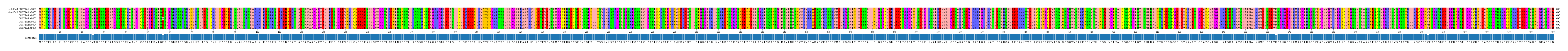 Multiple Alignments (by translate haplotype frequency)