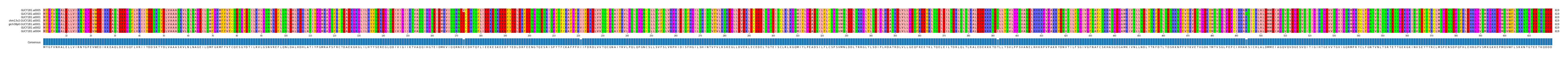 Multiple Alignments (by translate haplotype similarity)