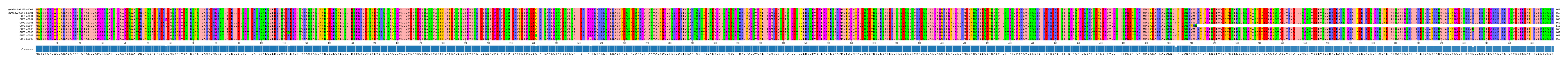 Multiple Alignments (by translate haplotype frequency)