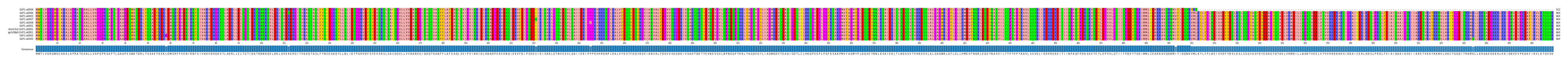 Multiple Alignments (by translate haplotype similarity)