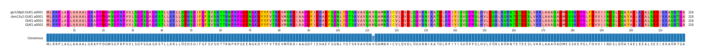 Multiple Alignments (by translate haplotype similarity)