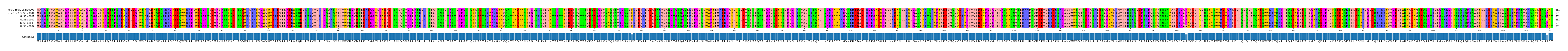 Multiple Alignments (by translate haplotype frequency)