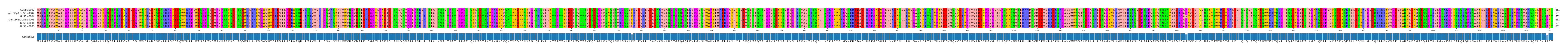 Multiple Alignments (by translate haplotype similarity)