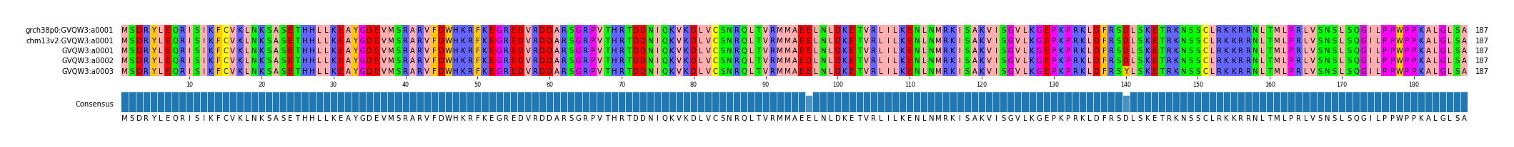Multiple Alignments (by translate haplotype frequency)