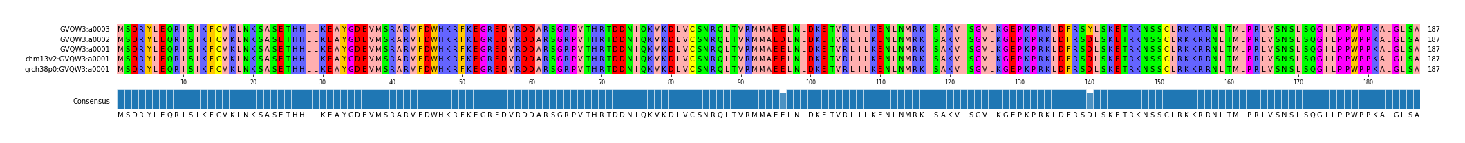 Multiple Alignments (by translate haplotype similarity)