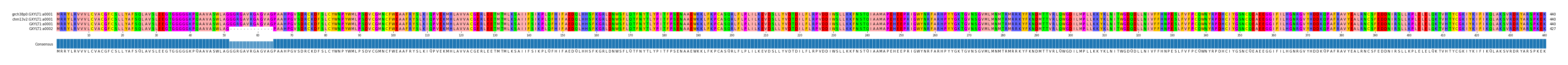 Multiple Alignments (by translate haplotype similarity)
