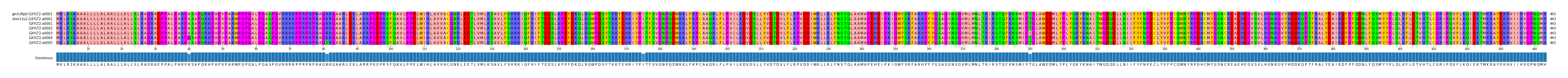 Multiple Alignments (by translate haplotype frequency)