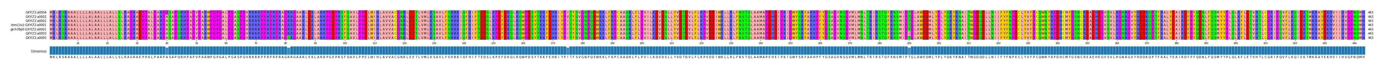 Multiple Alignments (by translate haplotype similarity)