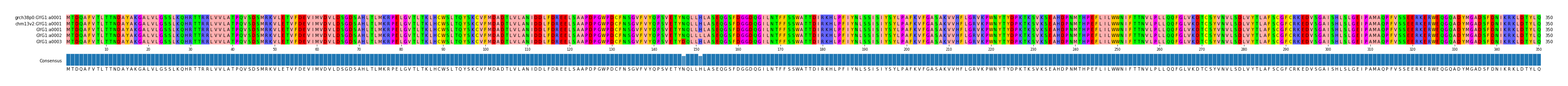 Multiple Alignments (by translate haplotype frequency)
