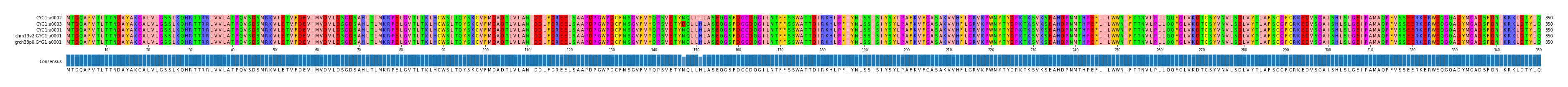 Multiple Alignments (by translate haplotype similarity)