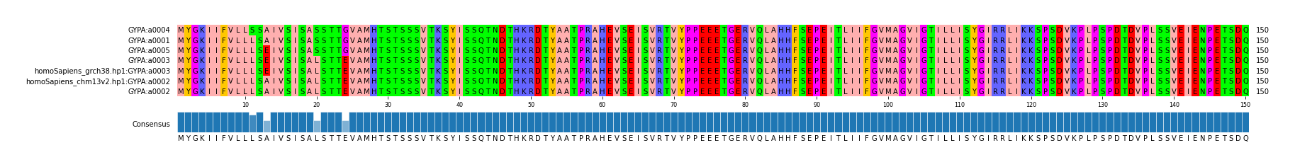 Multiple Alignments (by translate haplotype similarity)