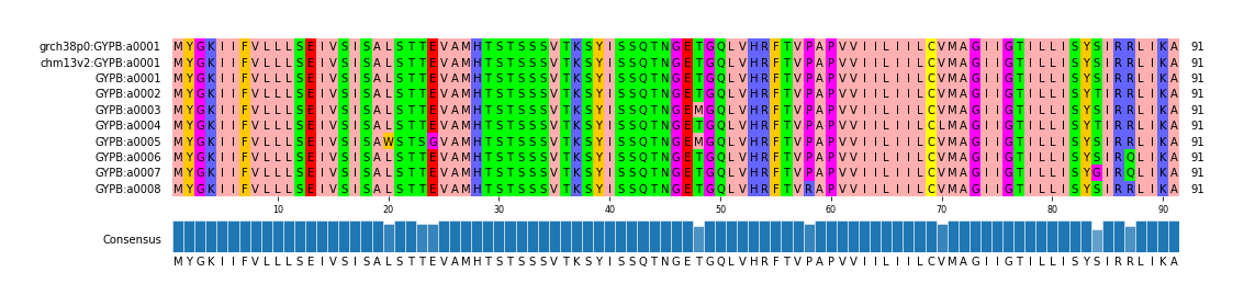 Multiple Alignments (by translate haplotype frequency)