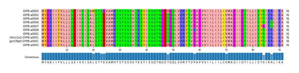 Multiple Alignments (by translate haplotype similarity)