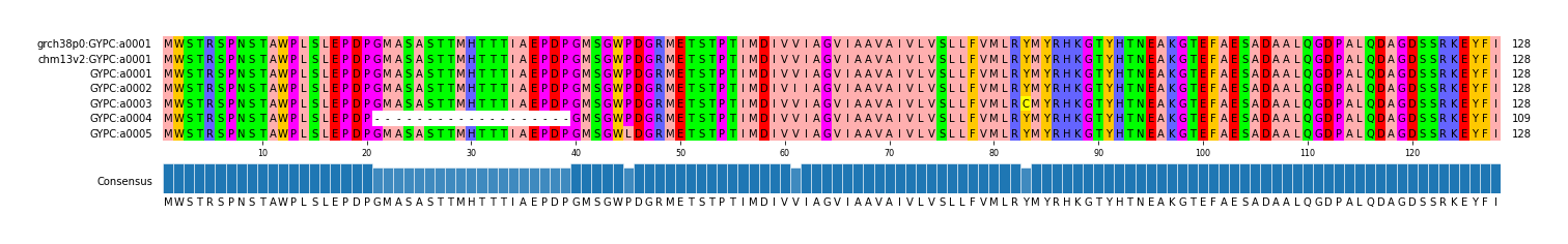 Multiple Alignments (by translate haplotype frequency)