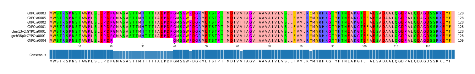 Multiple Alignments (by translate haplotype similarity)