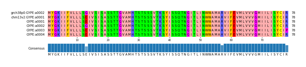 Multiple Alignments (by translate haplotype frequency)