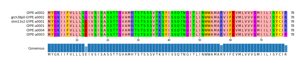 Multiple Alignments (by translate haplotype similarity)