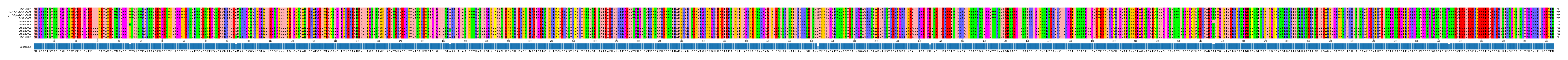 Multiple Alignments (by translate haplotype similarity)