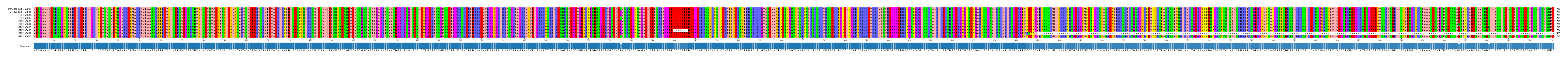Multiple Alignments (by translate haplotype frequency)