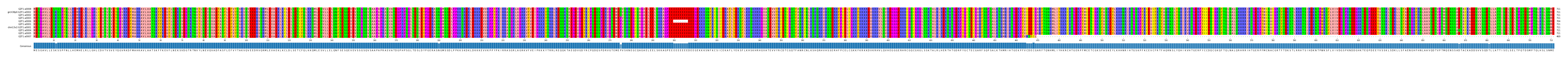 Multiple Alignments (by translate haplotype similarity)