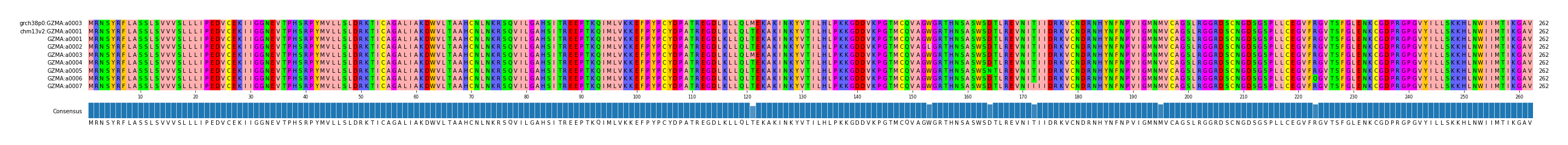 Multiple Alignments (by translate haplotype frequency)