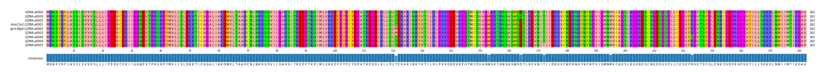 Multiple Alignments (by translate haplotype similarity)