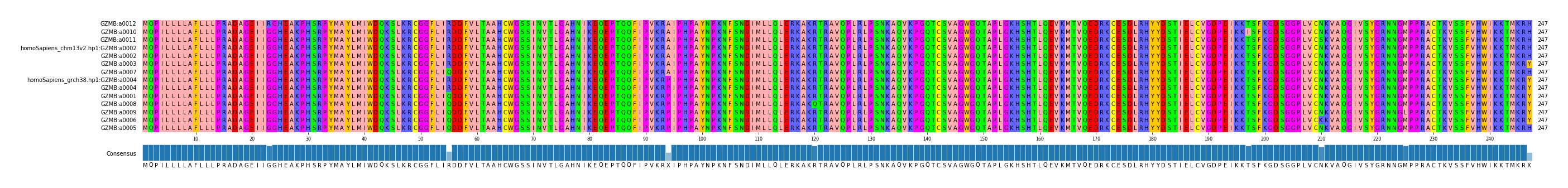 Multiple Alignments (by translate haplotype similarity)