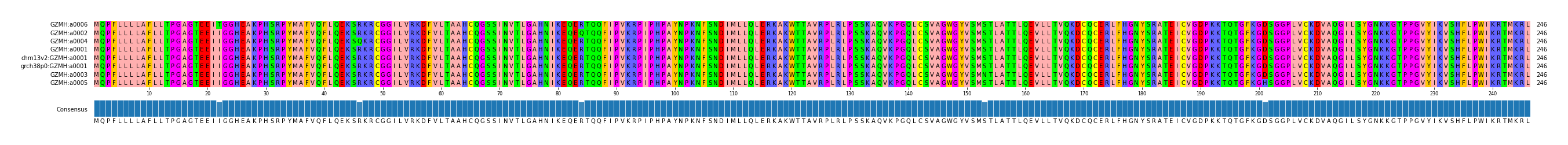 Multiple Alignments (by translate haplotype similarity)