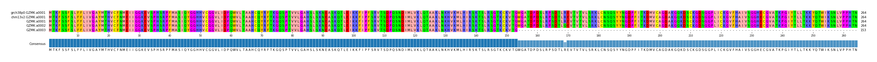 Multiple Alignments (by translate haplotype frequency)