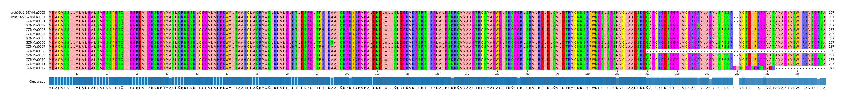 Multiple Alignments (by translate haplotype frequency)