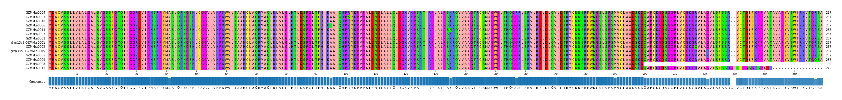 Multiple Alignments (by translate haplotype similarity)