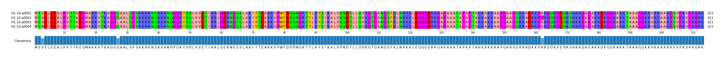 Multiple Alignments (by translate haplotype frequency)